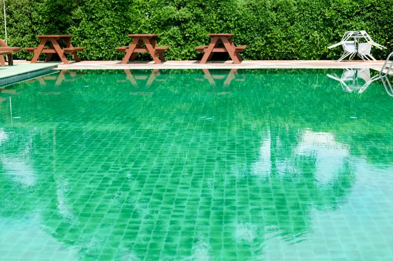 piscina-verde